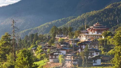 Phobjikha mùa đông: 5 trải nghiệm ngắm sếu cổ đen giữa thung lũng