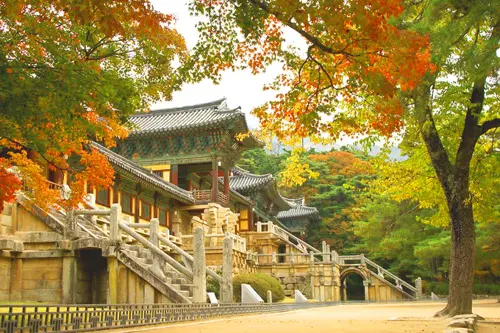 DU LỊCH HÀN QUỐC : BUSAN - GYEONGJU - ULSAN - SEOUL THU 2025 (VN/VJ)