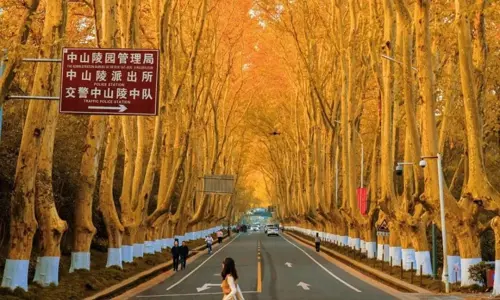 DU LỊCH TRUNG QUỐC: NAM KINH - HÀNG CHÂU - Ô TRẤN - THƯỢNG HẢI 2026 (MU)