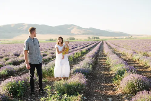 Checklist Lavender Thổ Nhĩ Kỳ Từ A - Z Cho Mùa Hè 2026 
