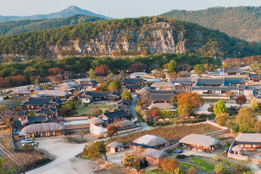 Du Lịch Hàn Quốc 2026 - Con đường hoa anh đào Andong nổi tiếng 