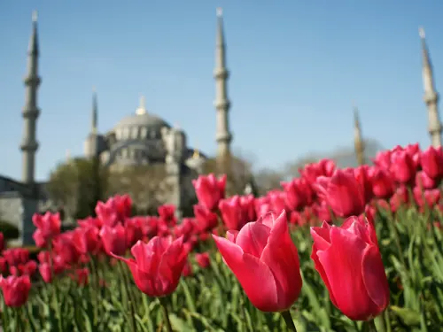 Du lịch Thổ Nhĩ Kỳ tháng 4 - Top các công viên hoa tulip lớn nhất 
