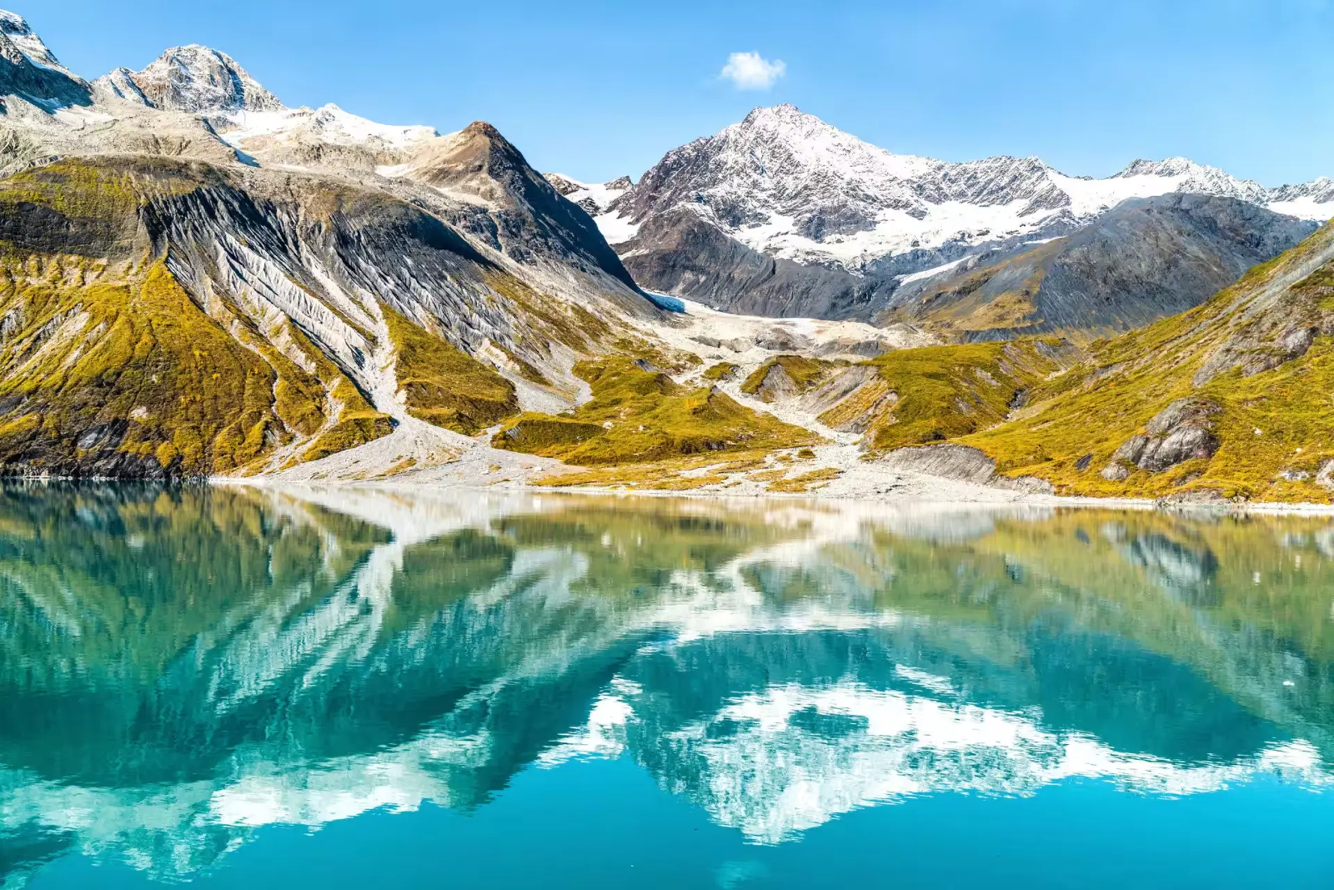 Glacier Bay Alaska - Chạm Vào Trái Tim Băng Giá Cùng Royal Princess 2026 