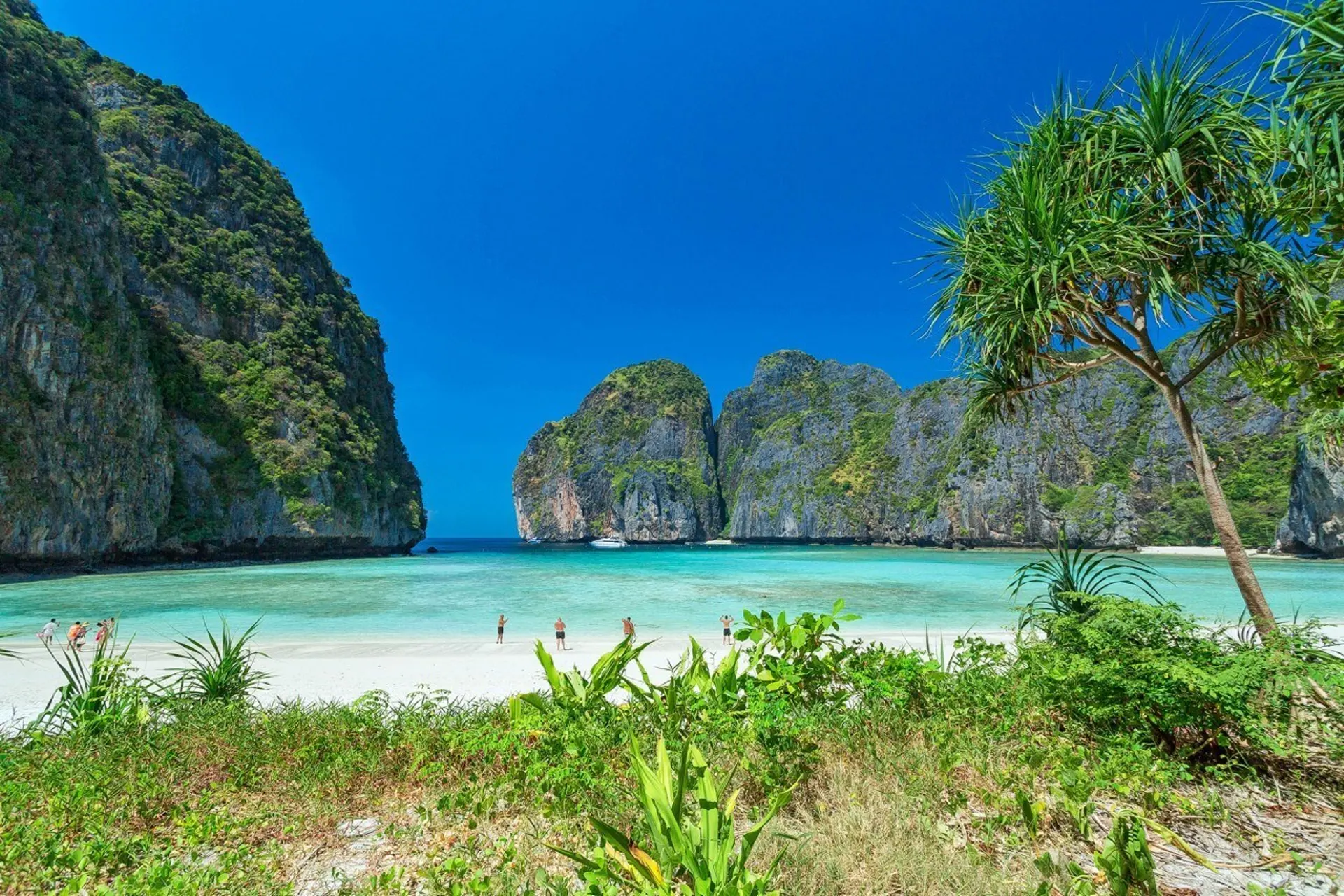 Vịnh Maya Phi Phi - Viên Ngọc Xanh Đẹp Nhất Thái Lan Hè 2026