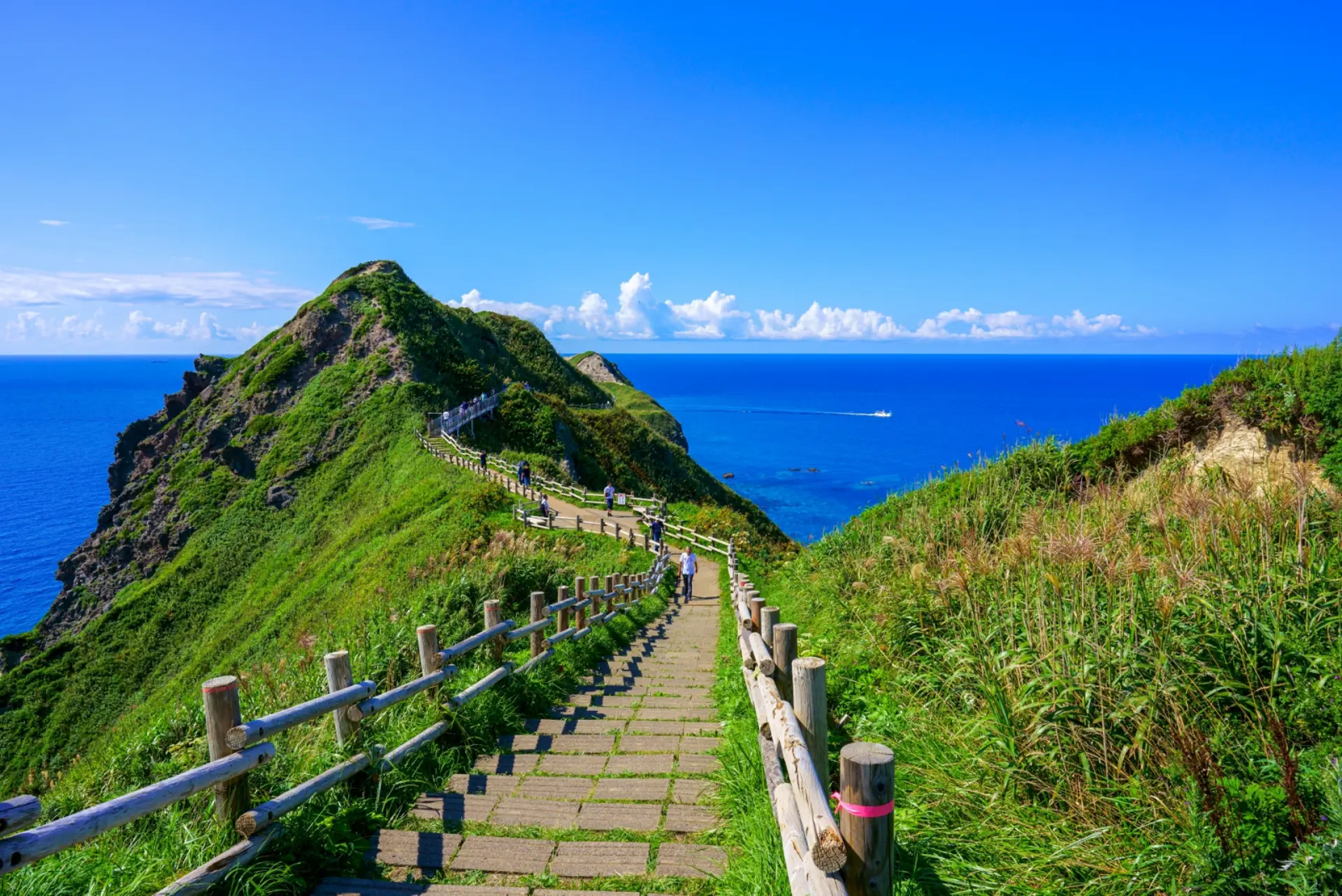 Hokkaido mùa hè: Vì sao là nơi trốn nóng lý tưởng? 