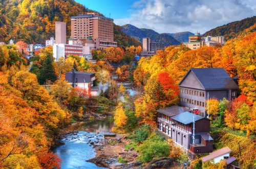 Mua gì ở Hokkaido mùa thu? Gợi ý quà theo mùa ngoài bánh và sữa