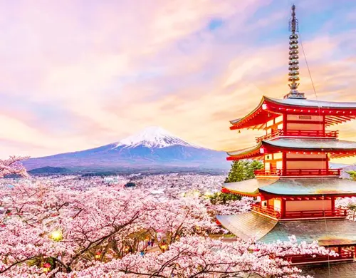 DU LỊCH NHẬT BẢN: NARITA - TOKYO - YAMANASHI - NAGOYA - OSAKA 2026 (VJ) 