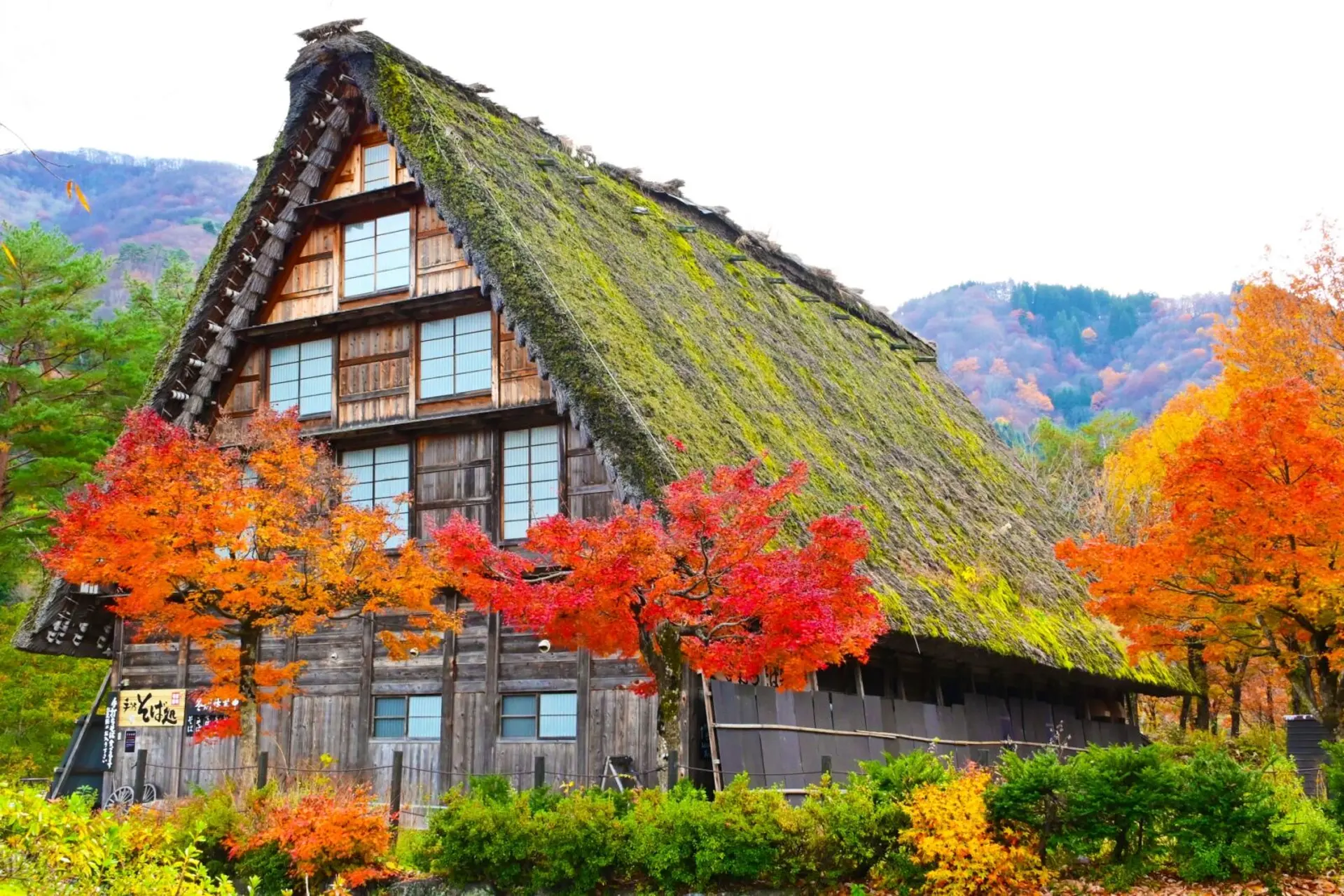 Lễ hội Takayama mùa thu 2025 | Trải nghiệm văn hóa đặc sắc Nhật Bản 