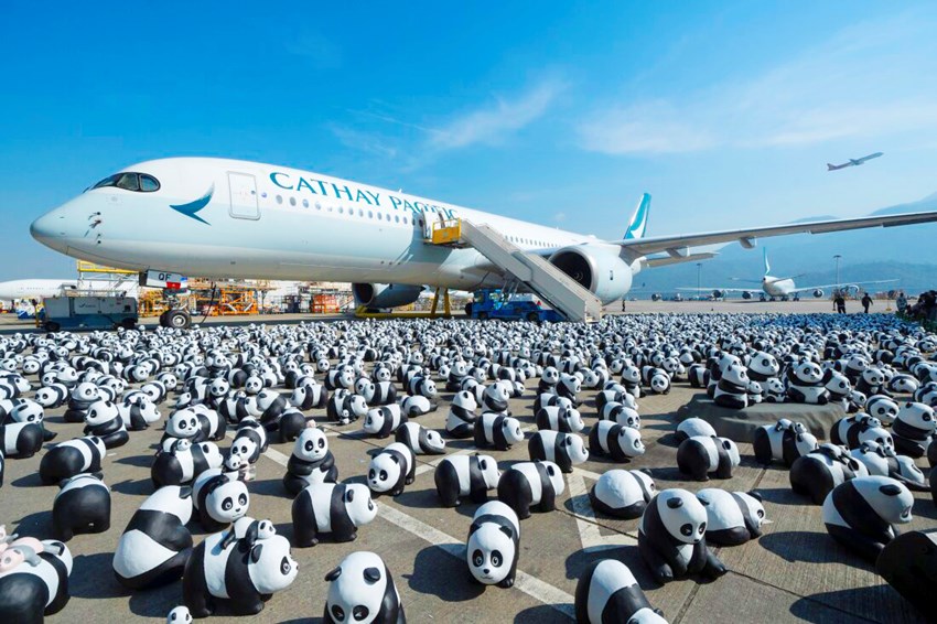 Panda Go: Triển Lãm Gấu Trúc với 2.500 Tượng Gấu Trúc tại Sân Bay ở HongKong