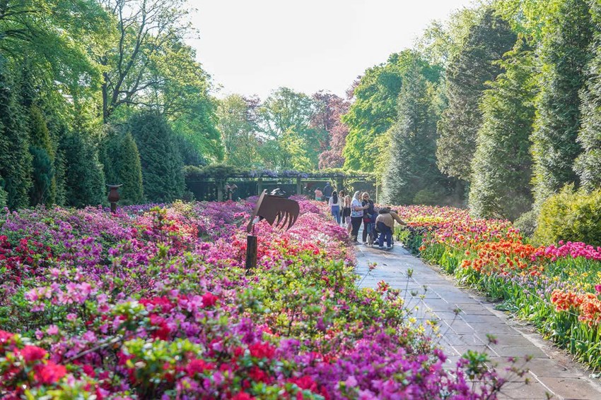 Du Lịch Châu Âu: Đắm Chìm Trong Vườn Hoa Keukenhof Hà Lan