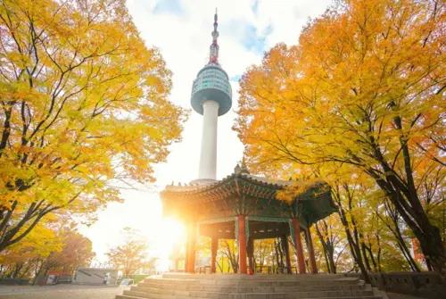 (HN) DU LỊCH HÀN QUỐC: SEOUL - NAMI -JUMP SHOW 2026 (9G)
