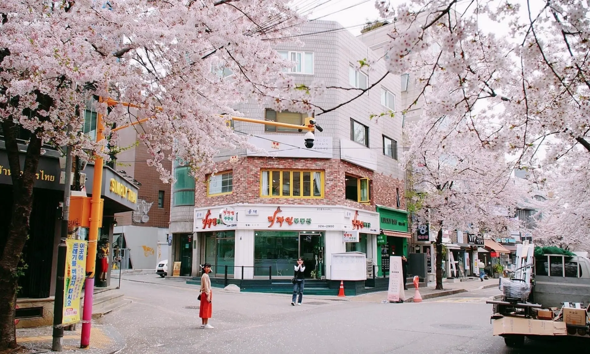 Quán cà phê ngắm hoa anh đào Seoul 2026 - Gợi ý địa điểm check-in hot vào mùa xuân