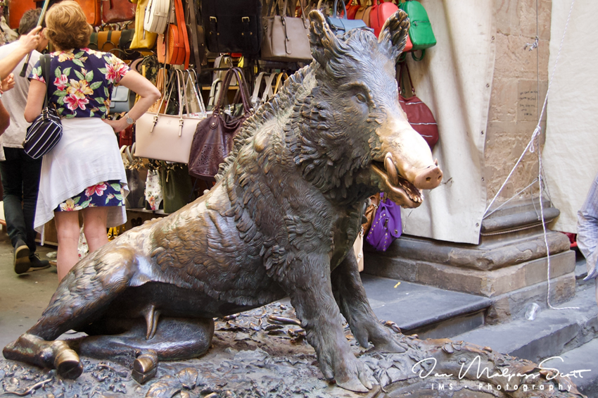 Chú Lợn Rừng Porcellino - Biểu Tượng Của Sự May Mắn Tại Florence