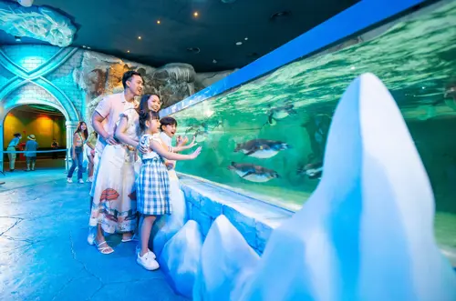 Lịch nghỉ lễ 2026 mới nhất cho người lao động & học sinh và cẩm nang du lịch từ Triều Hảo