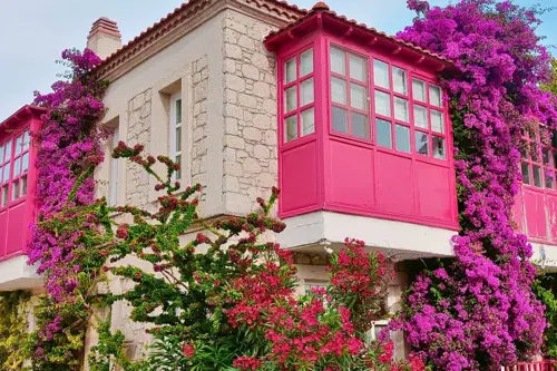 Làng cổ Alacati – Viên ngọc cổ tích bên bờ biển Aegean khiến bạn mê mẩn