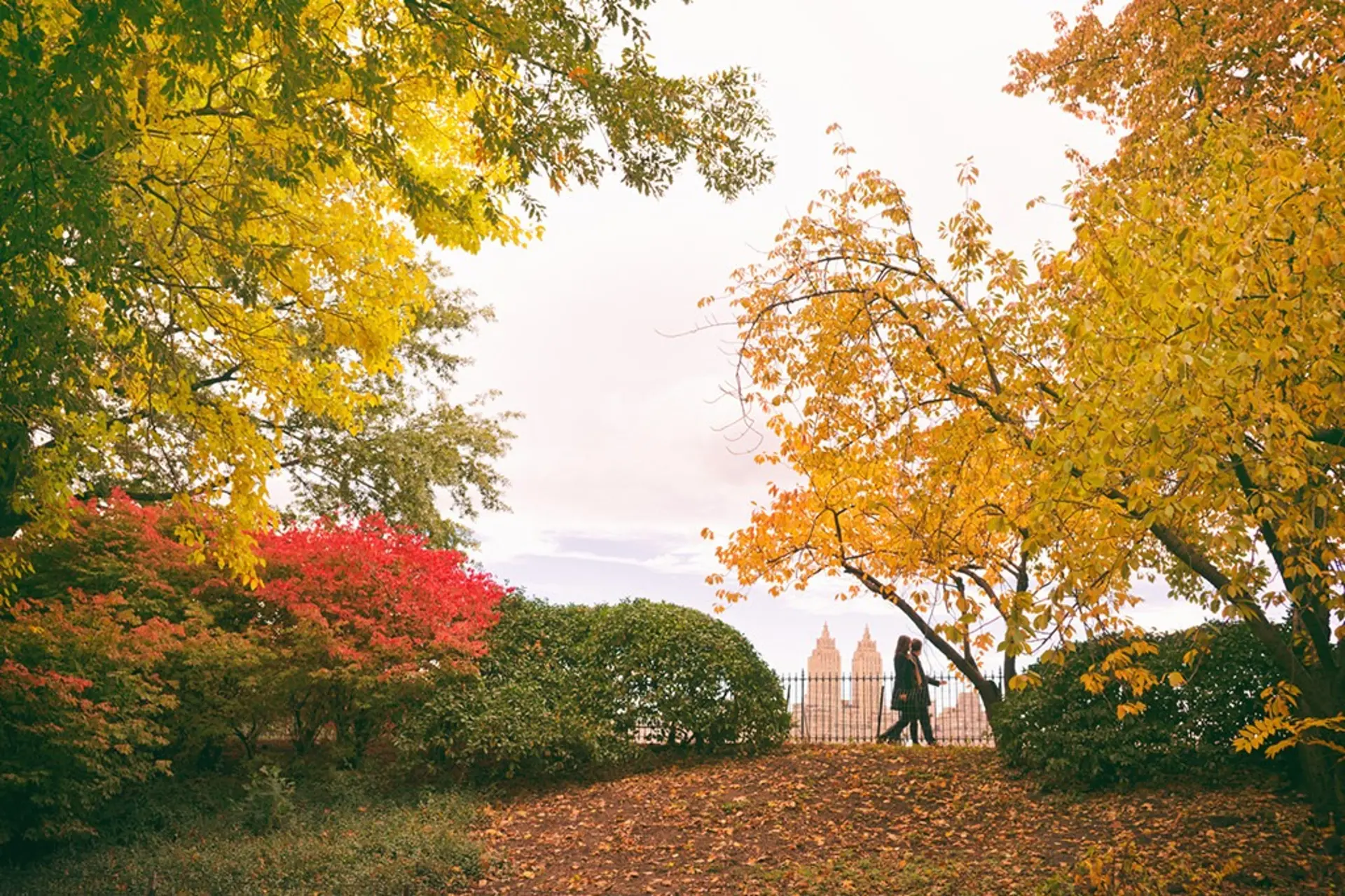 Central Park Mùa Thu – Bức Tranh Lá Vàng Giữa Lòng Thành Phố New York