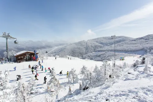 Trượt tuyết Gangwon – Thiên đường mùa đông Hàn Quốc dành cho du khách