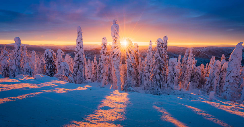 Alaska mùa đông 2025 – Hành trình cực quang & tuyết trắng cùng Du Lịch Triều Hảo