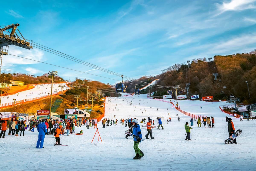 Yongpyong Resort mùa đông 2025 – Thiên đường tuyết trắng Hàn Quốc