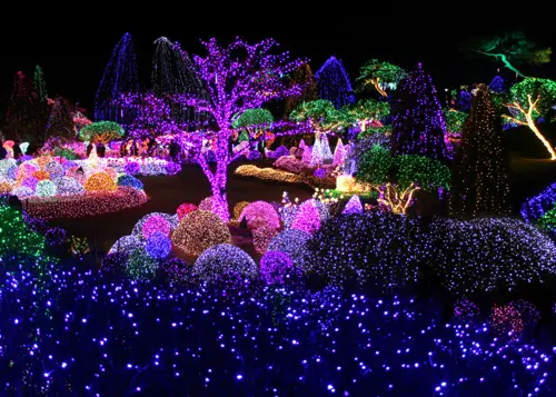 Garden of Morning Calm Illuminations – Lễ hội ánh sáng mùa đông Hàn Quốc