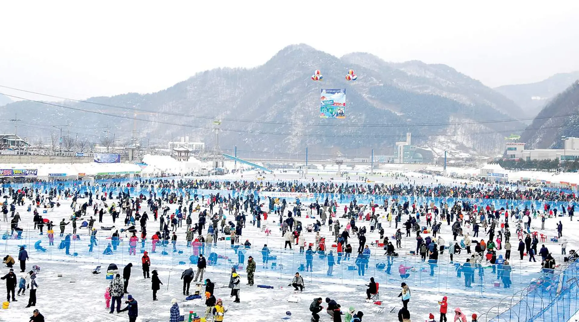 Ice Fishing Hwacheon – Lễ hội bắt cá trên băng mùa đông Hàn Quốc 2025