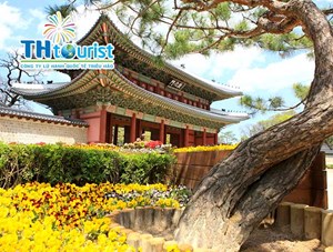 DU LỊCH HÀN QUỐC: SEOUL – NAMI - EVERLAND (THÁNG 3/2019)