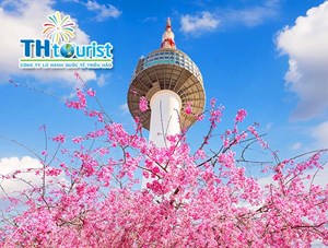 DU LỊCH HÀN QUỐC: SEOUL - NAMI - EVERLAND - CÔNG VIÊN YOUIDO TẬN HƯỞNG SẮC XUÂN 2020 (BAY T'WAY)