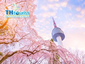 DU LỊCH HÀN QUỐC: SEOUL - JEJU - NAMI - EVERLAND - CÔNG VIÊN YOUIDO MÙA HOA ANH ĐÀO 2020 (BAY KE)