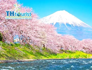 DU LỊCH NHẬT BẢN: TOKYO - IBARAKI - NÚI PHÚ SĨ - HAKONE - NARITA - LỄ HỘI HOA MƠ (THÁNG 02, 03)