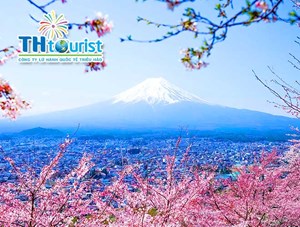 DU LỊCH NHẬT BẢN: NARITA - YAMANASHI - KYOTO - NARITA  (04/04/2019 | 18/04 /2019 )