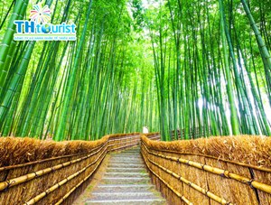 DU LỊCH NHẬT BẢN: KANSAI – KYOTO-OSAKA-HAMANAKO–TOKYO–NARITA (RỪNG TRE THÁNG 10,11,12)