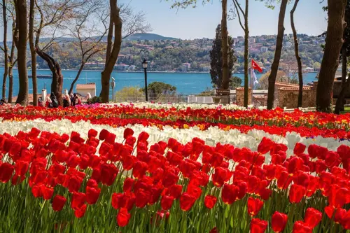 Du Lịch Thổ Nhĩ Kỳ: Trải Nghiệm Sắc Hoa Tulip Tại Công Viên Emirgan